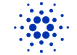 Cardano Fork