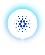 Cardano