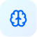 Custom LLM Development