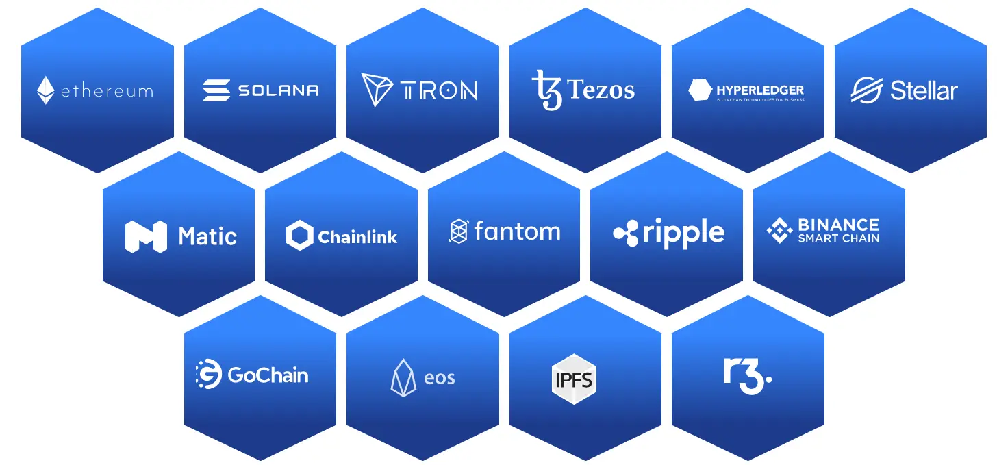 Blockchain Platforms We Expertise