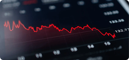 Equity Shares Equity Shares
